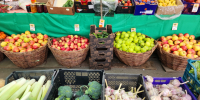 В первую неделю апреля можайцы смогут купить продукты для постного стола на фермерской ярмарке - Regions.Ru