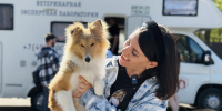 Как вакцинировать домашних питомцев от бешенства без выезда в город - Regions.Ru