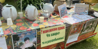 Шеф-поваров Можайска приглашают в парк на фестиваль глинтвейна - Regions.Ru
